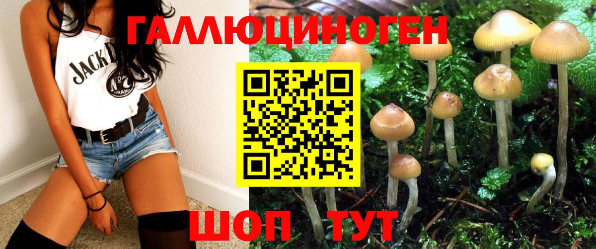 Галлюциногенные грибы MAGIC MUSHROOMS Баксан