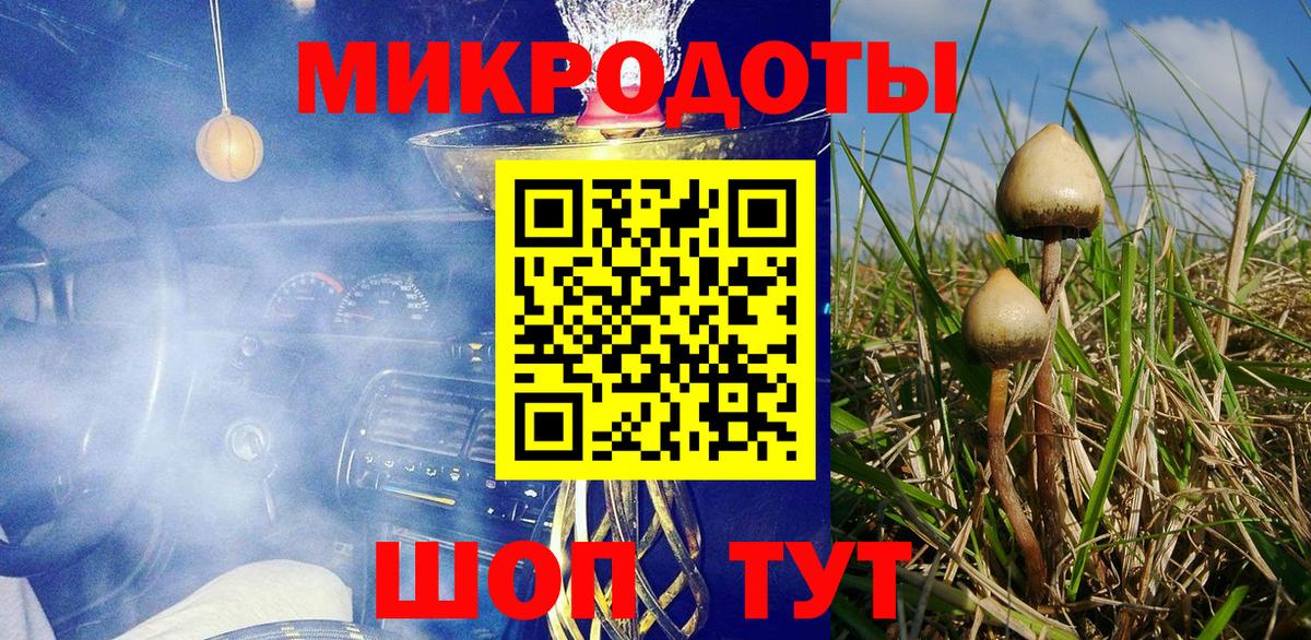 Баксан  Галлюциногенные грибы Cubensis  Вход с VPN 